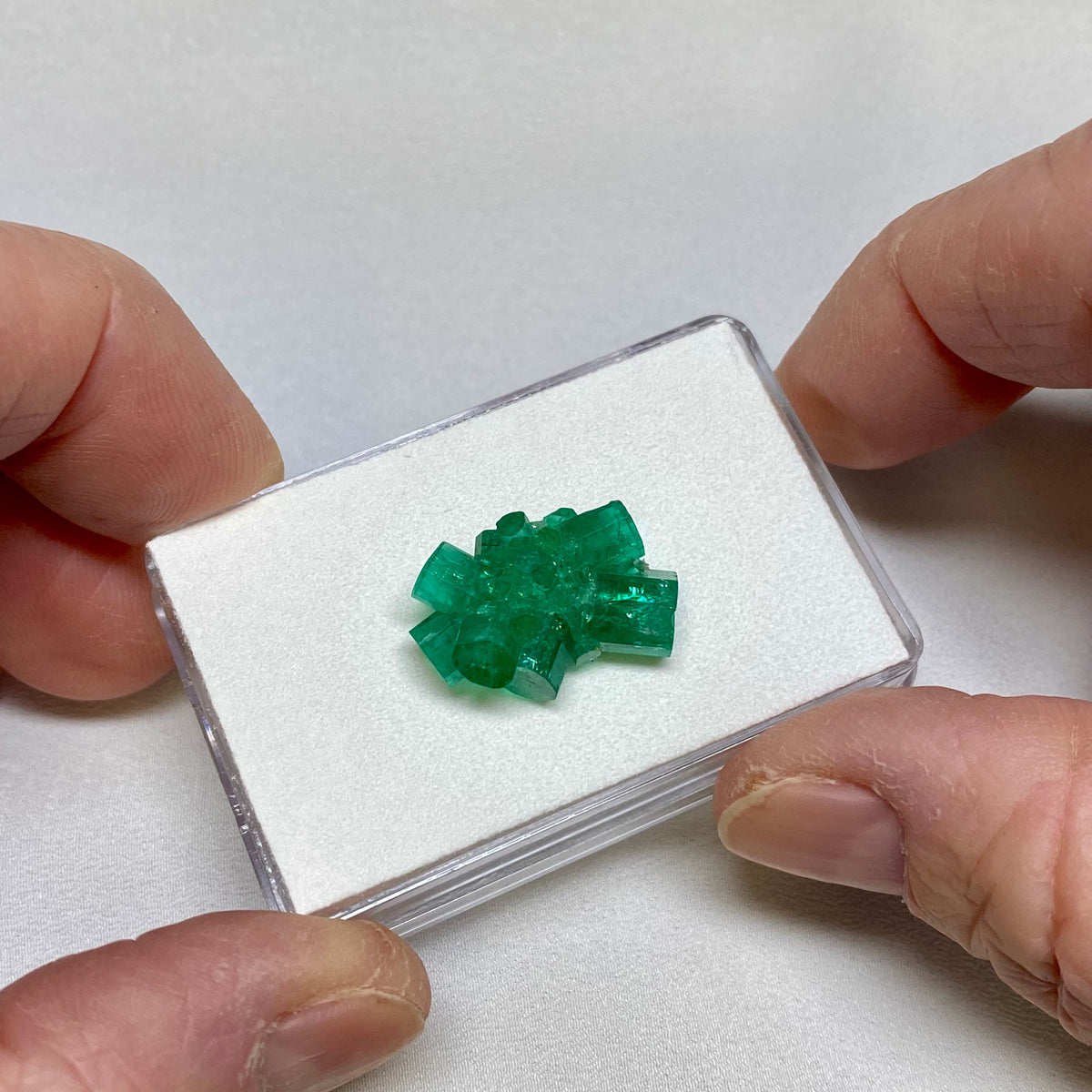 Chatham Emerald Cluster - San Francisco, California