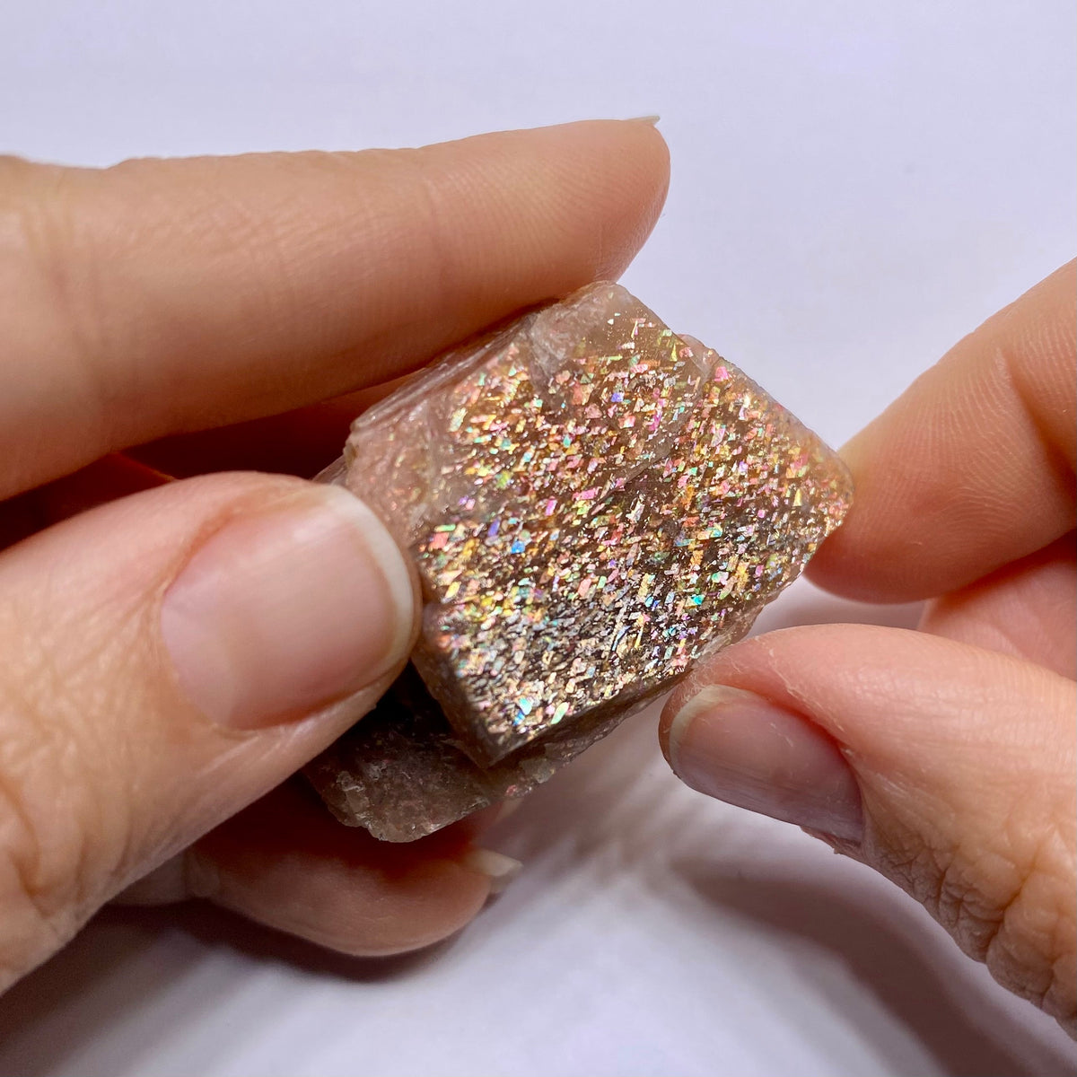 Lattice Sunstone - Tanzania