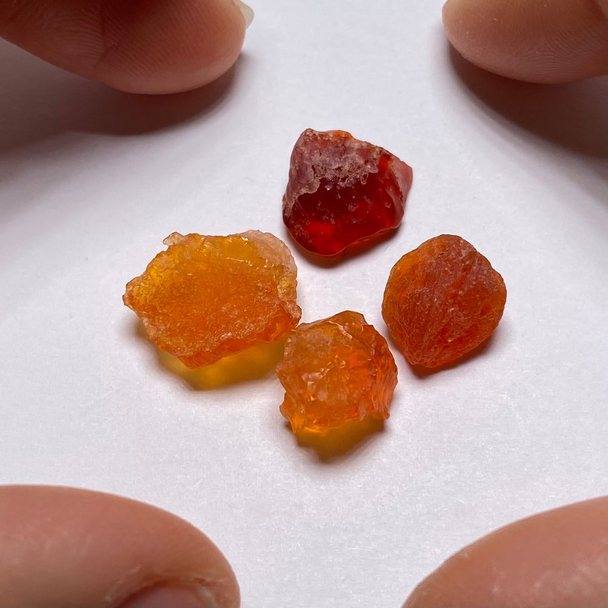 Mexican Fire Opals - Magdalena,  Jalisco
