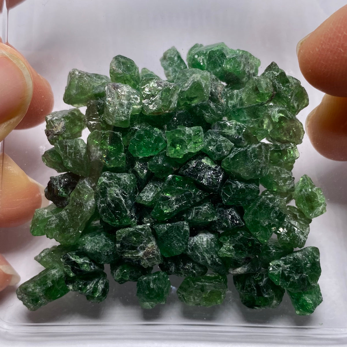 Tsavorite - Tanzania