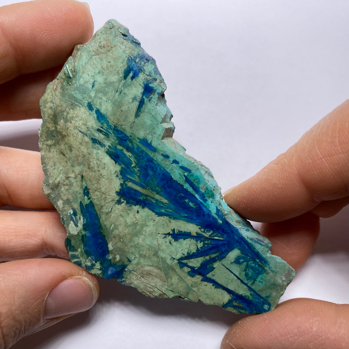 Eilat Stone