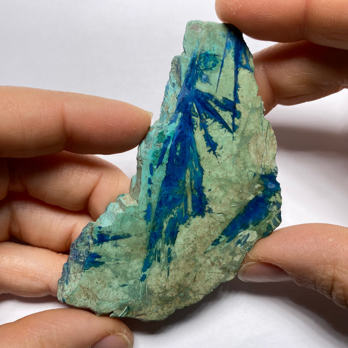 Eilat Stone
