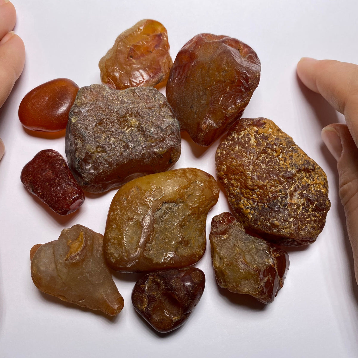 Chalcedony var. Carnelian