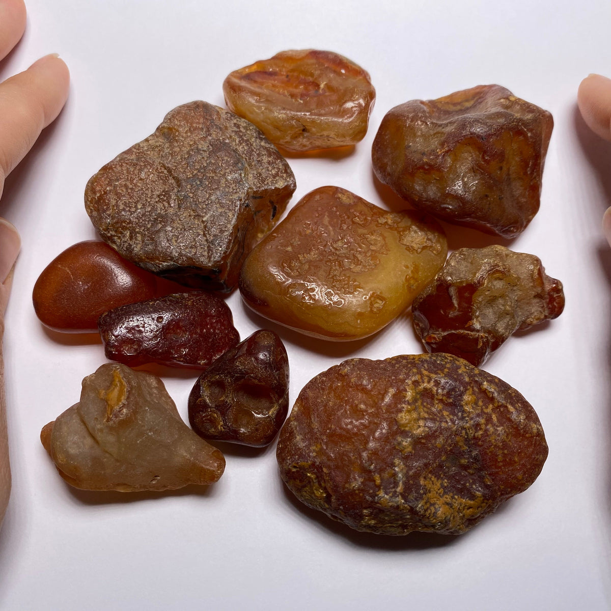 Chalcedony var. Carnelian