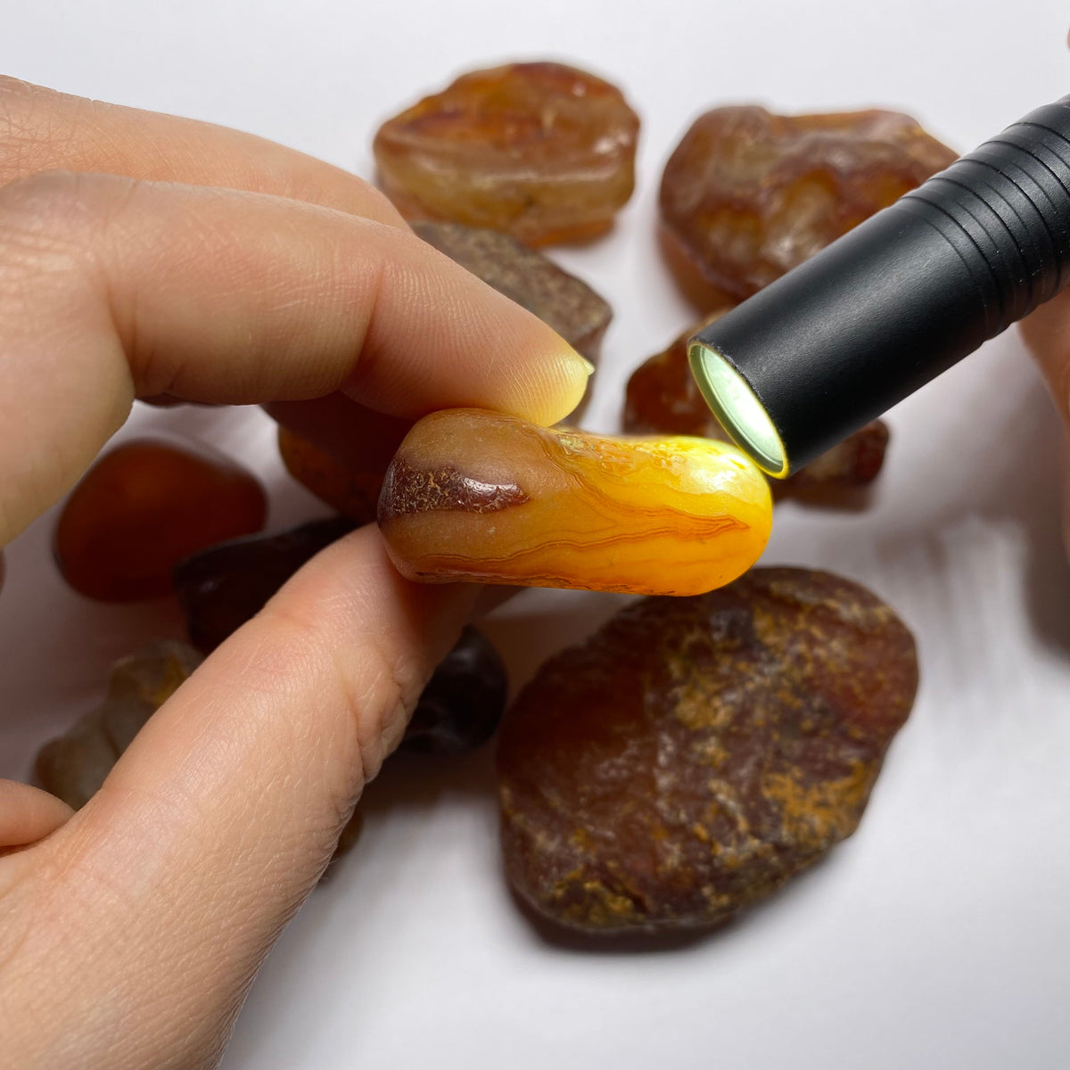 Chalcedony var. Carnelian