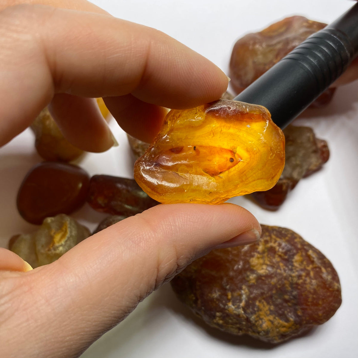 Chalcedony var. Carnelian