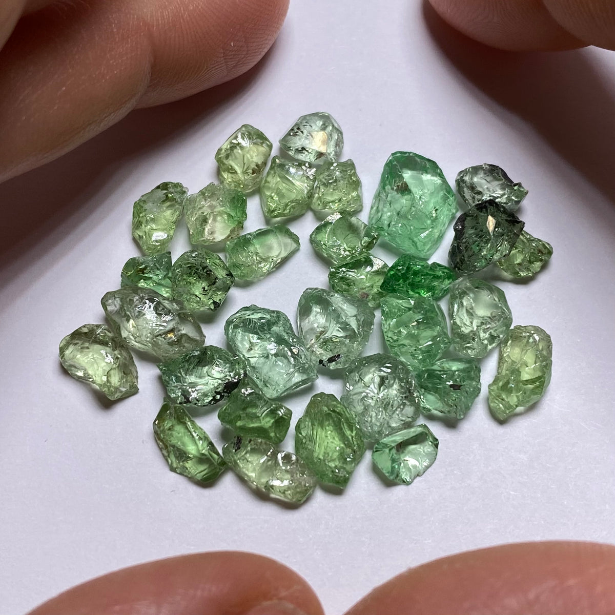 Merelani Mint Garnet - Tanzania