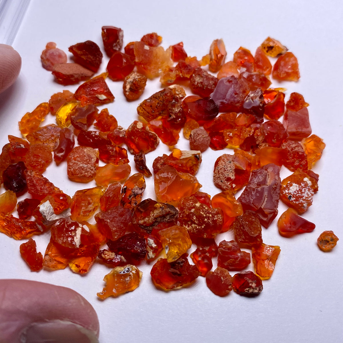Mexican Fire Opals - Magdalena,  Jalisco
