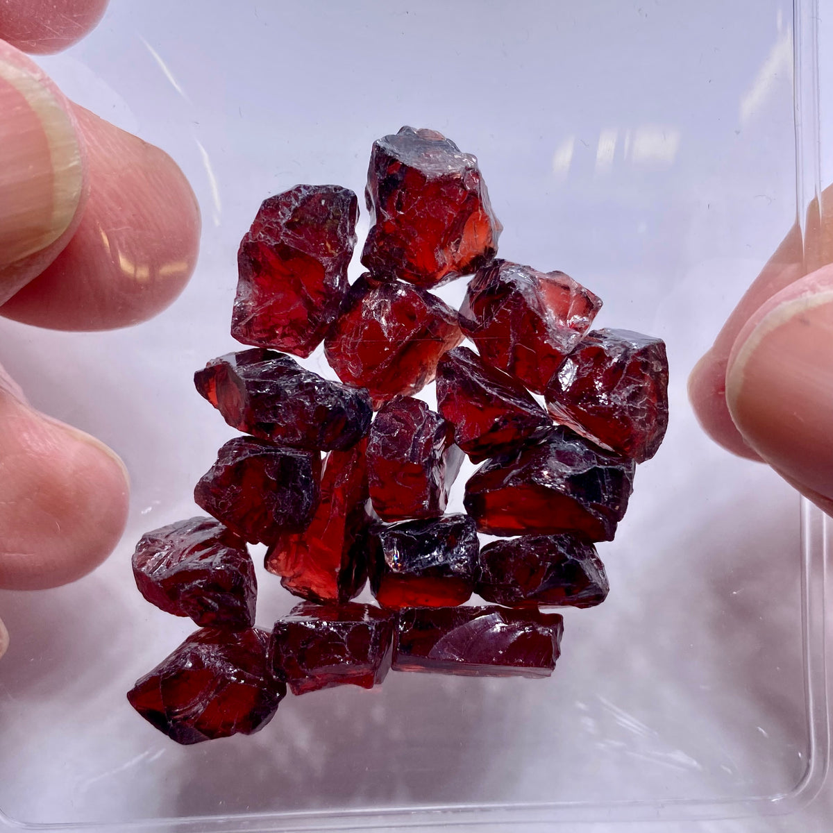 Chrome Pyrope - Mozambique
