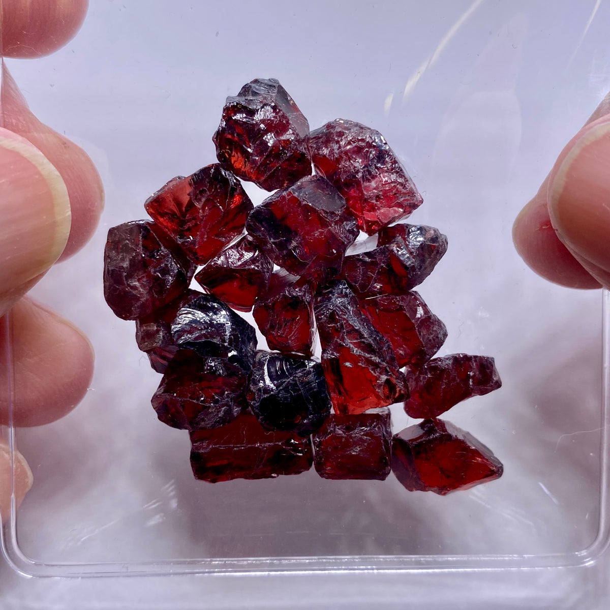 Chrome Pyrope - Mozambique