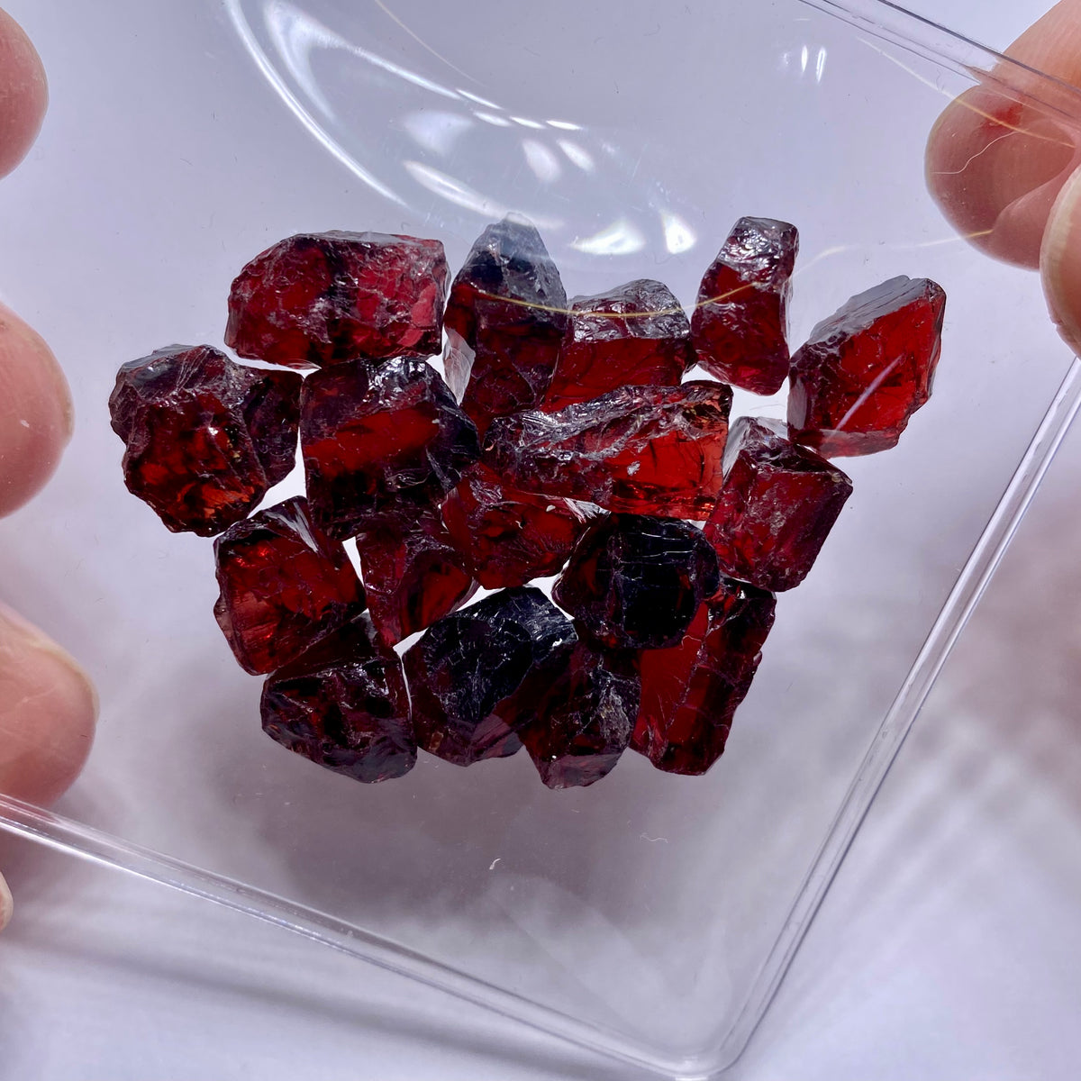 Chrome Pyrope - Mozambique