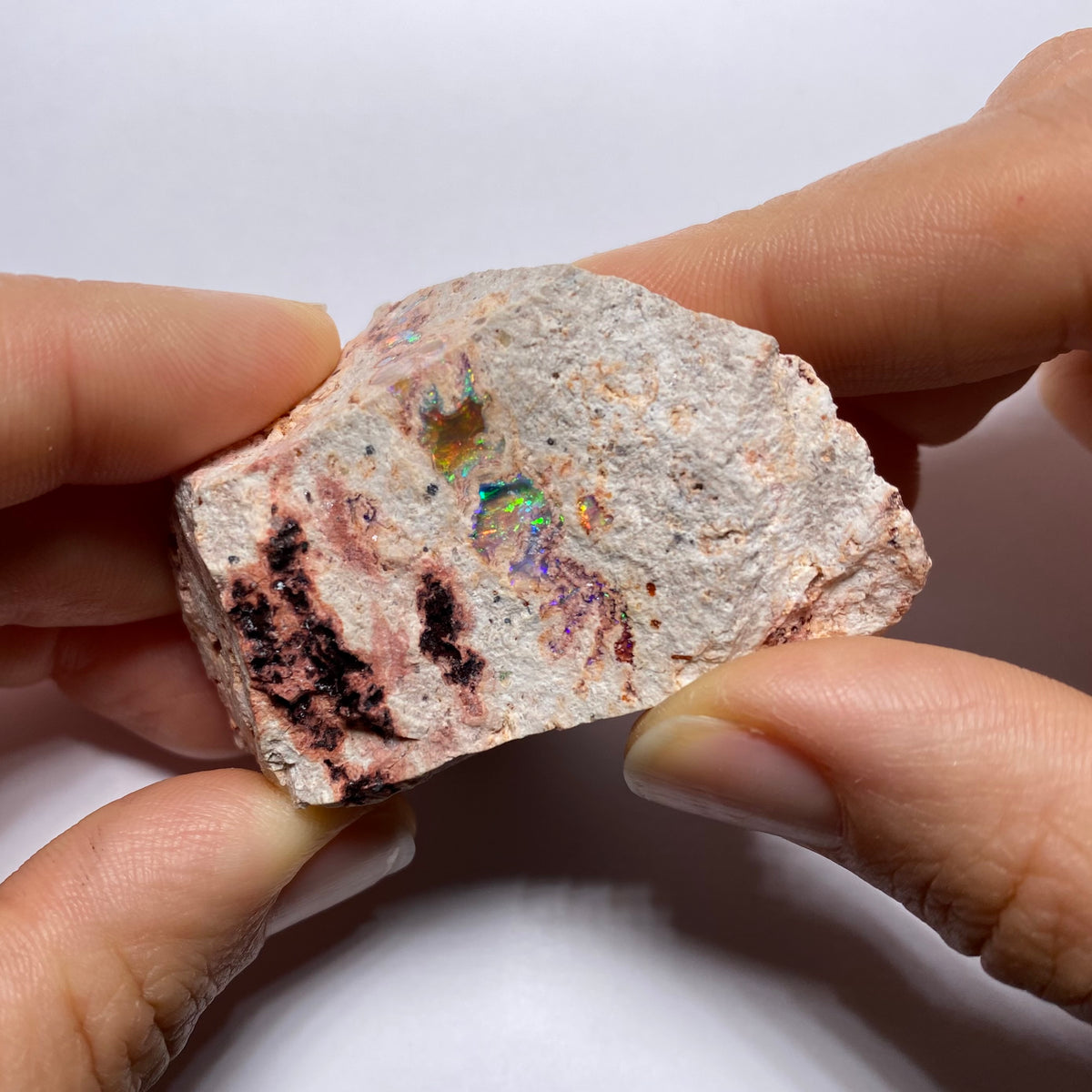 Cantera Opal in Rhyolite - La Trinidad, Mexico