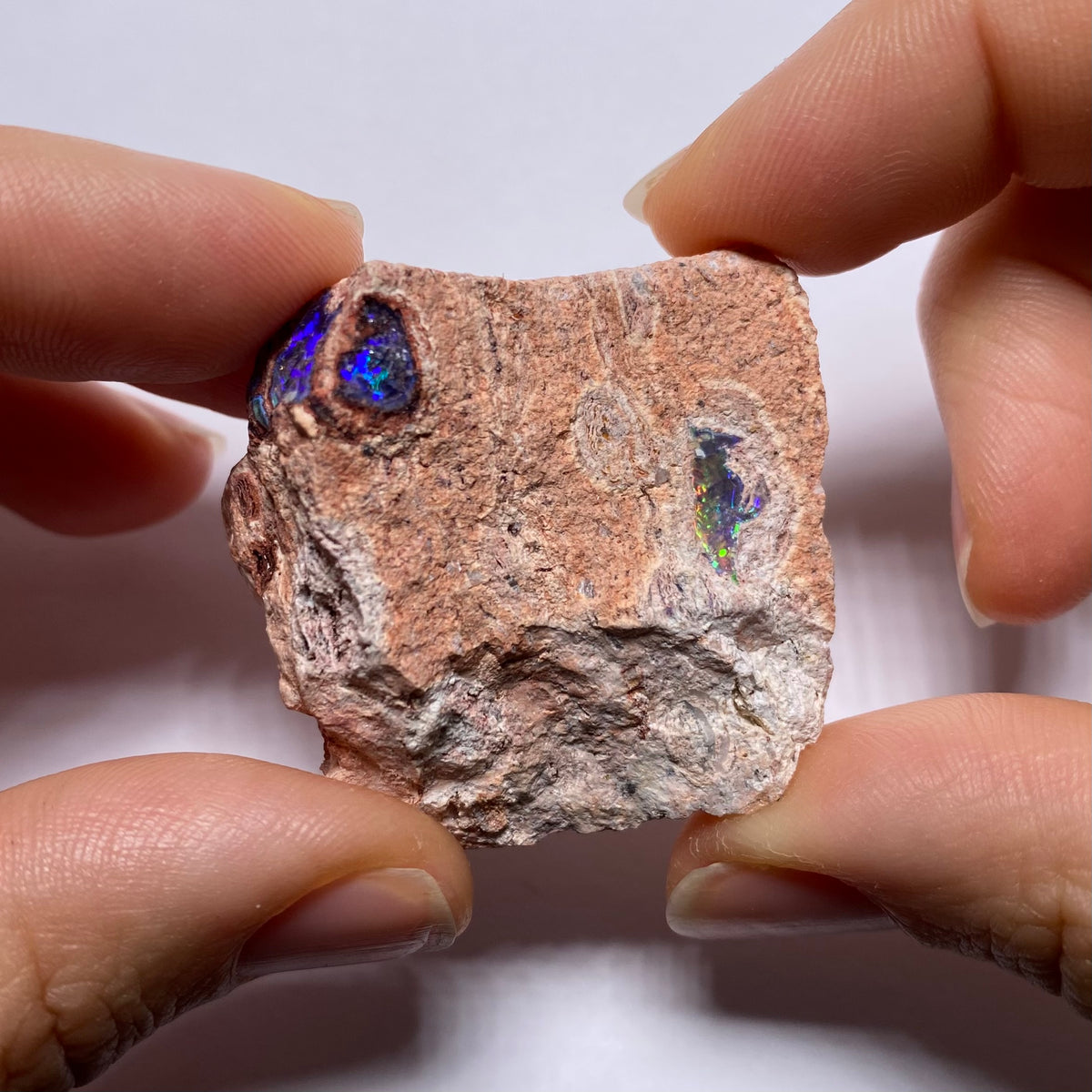 Cantera Opal in Rhyolite - La Trinidad, Mexico