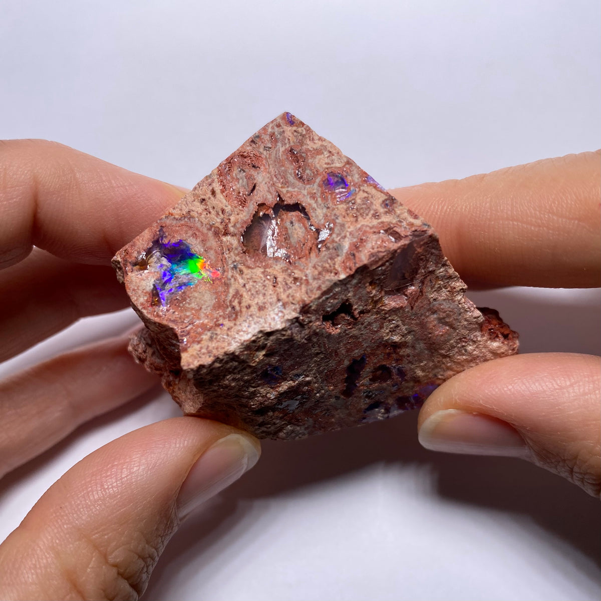 Cantera Opal in Rhyolite - La Trinidad, Mexico