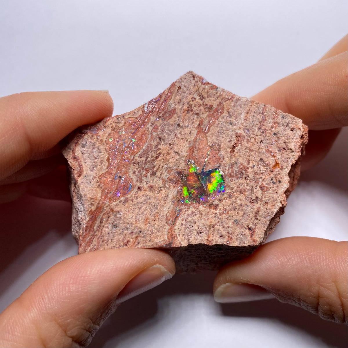 Cantera Opal in Rhyolite - La Trinidad, Mexico
