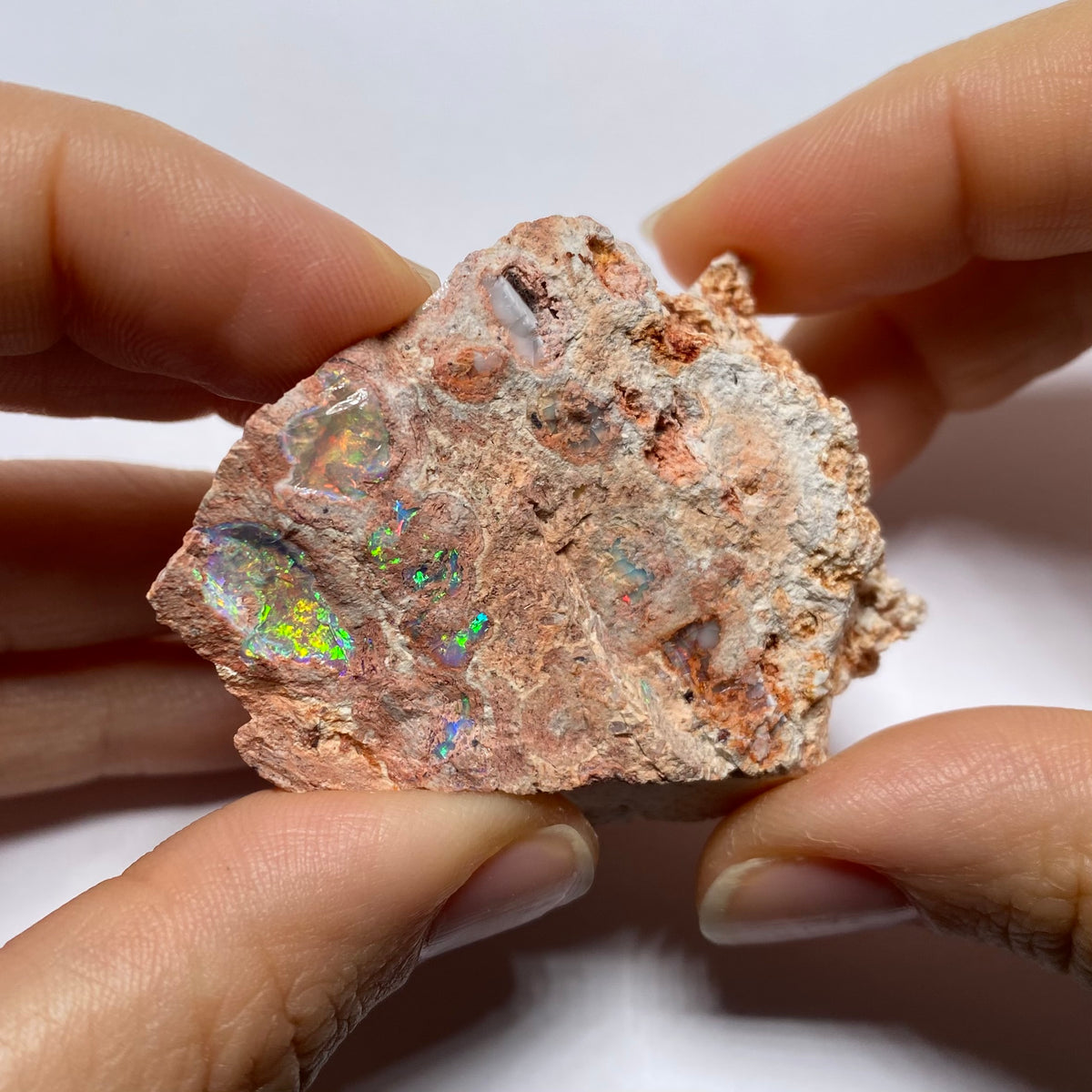 Cantera Opal in Rhyolite - La Trinidad, Mexico