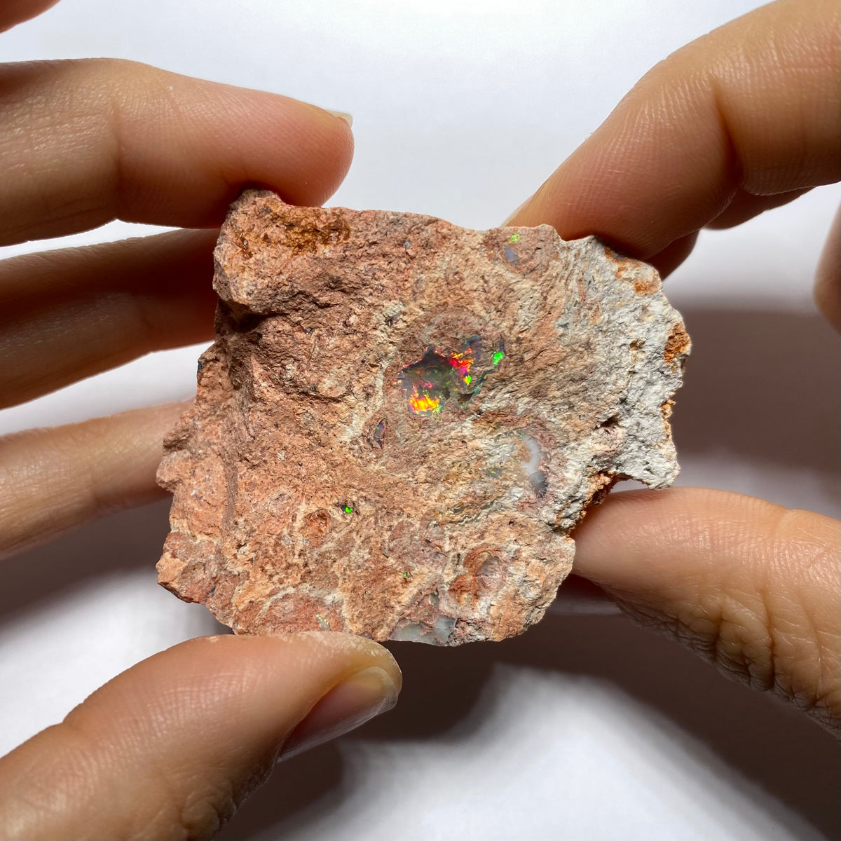 Cantera Opal in Rhyolite - La Trinidad, Mexico