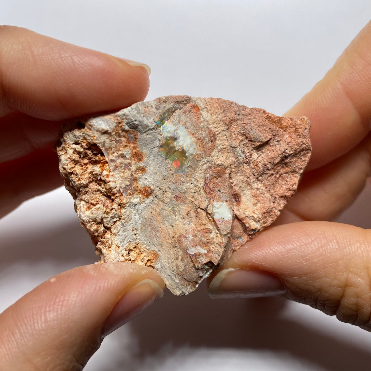 Cantera Opal in Rhyolite - La Trinidad, Mexico