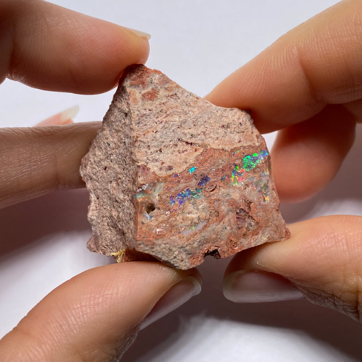 Cantera Opal in Rhyolite - La Trinidad, Mexico