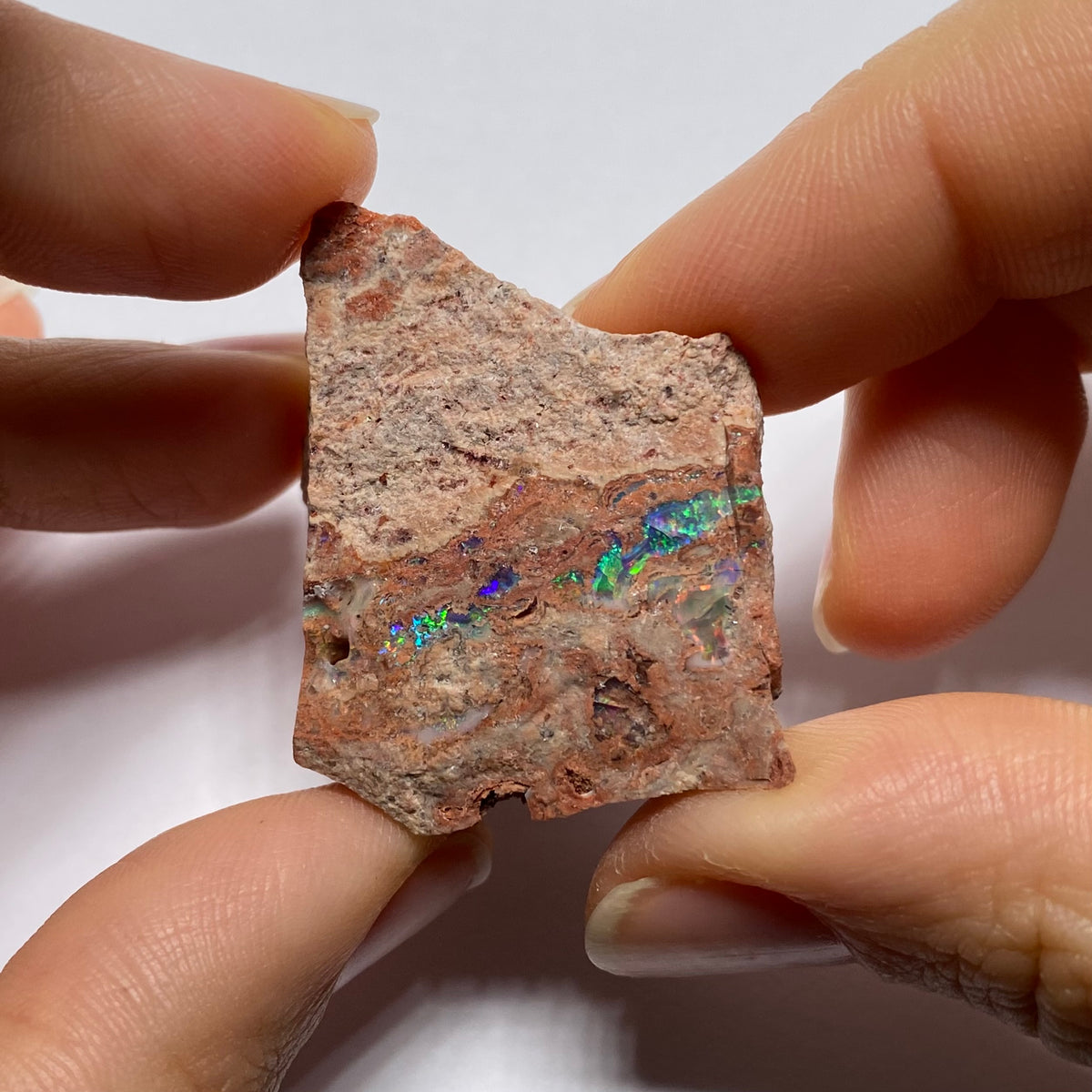 Cantera Opal in Rhyolite - La Trinidad, Mexico