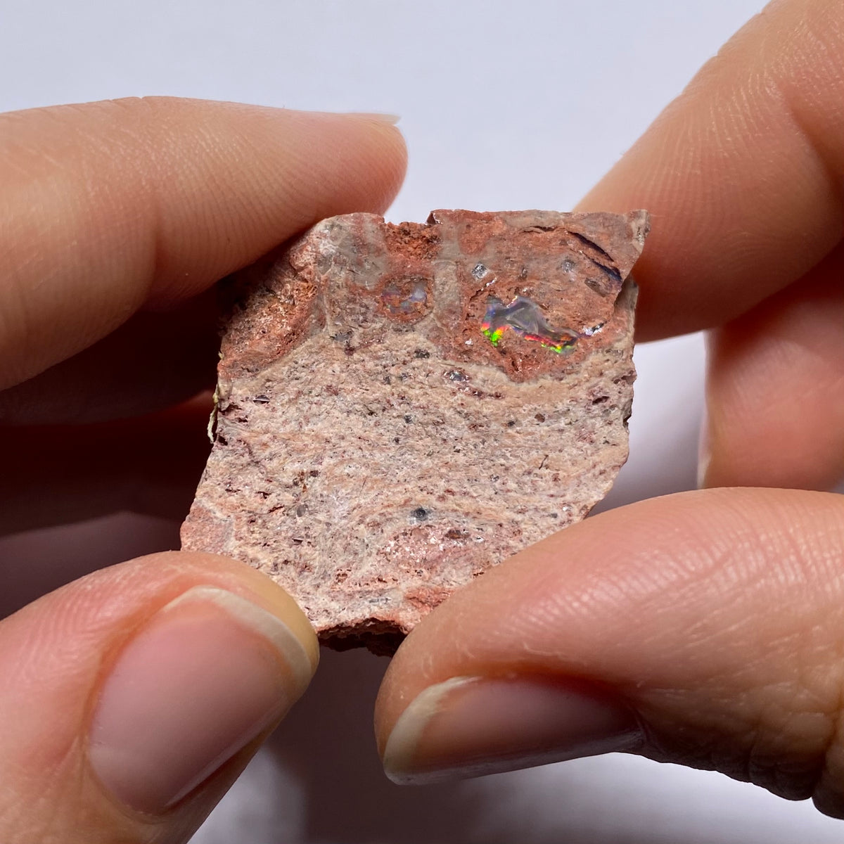 Cantera Opal in Rhyolite - La Trinidad, Mexico