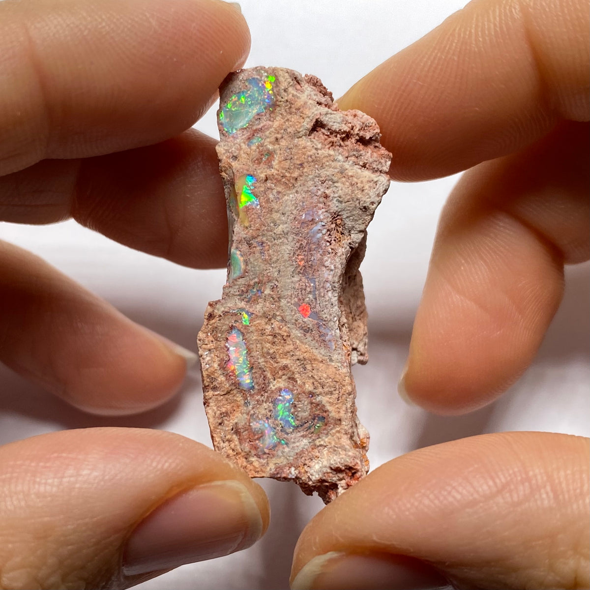Cantera Opal in Rhyolite - La Trinidad, Mexico