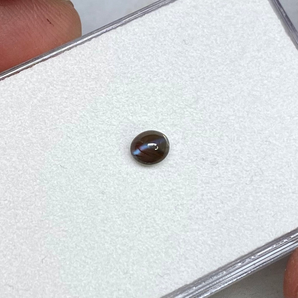 Cat&#39;s Eye Alexandrite - Brazil