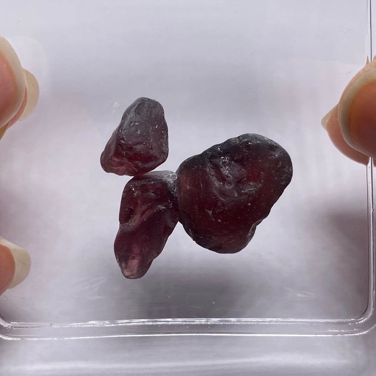 Zircon - Vietnam