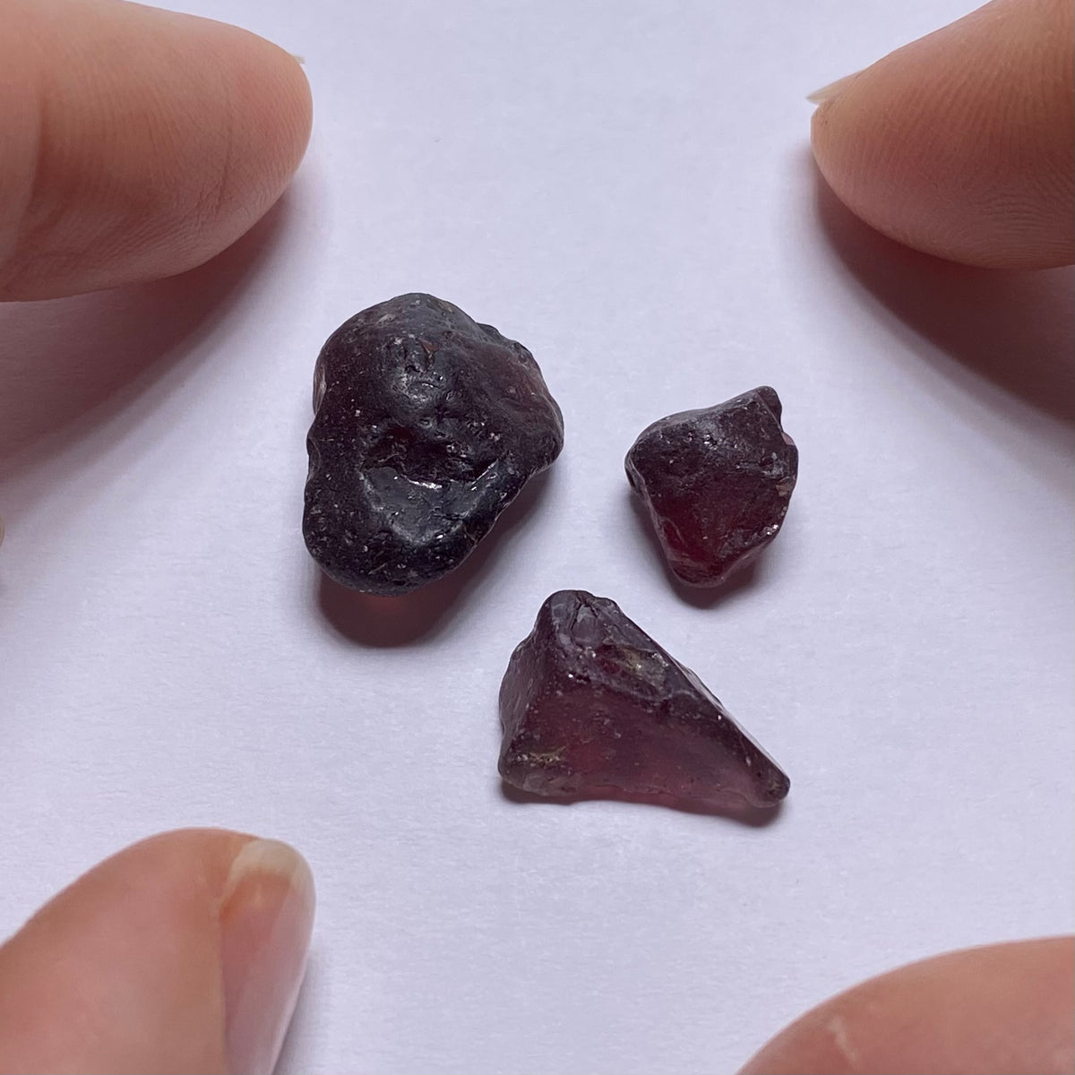 Zircon - Vietnam