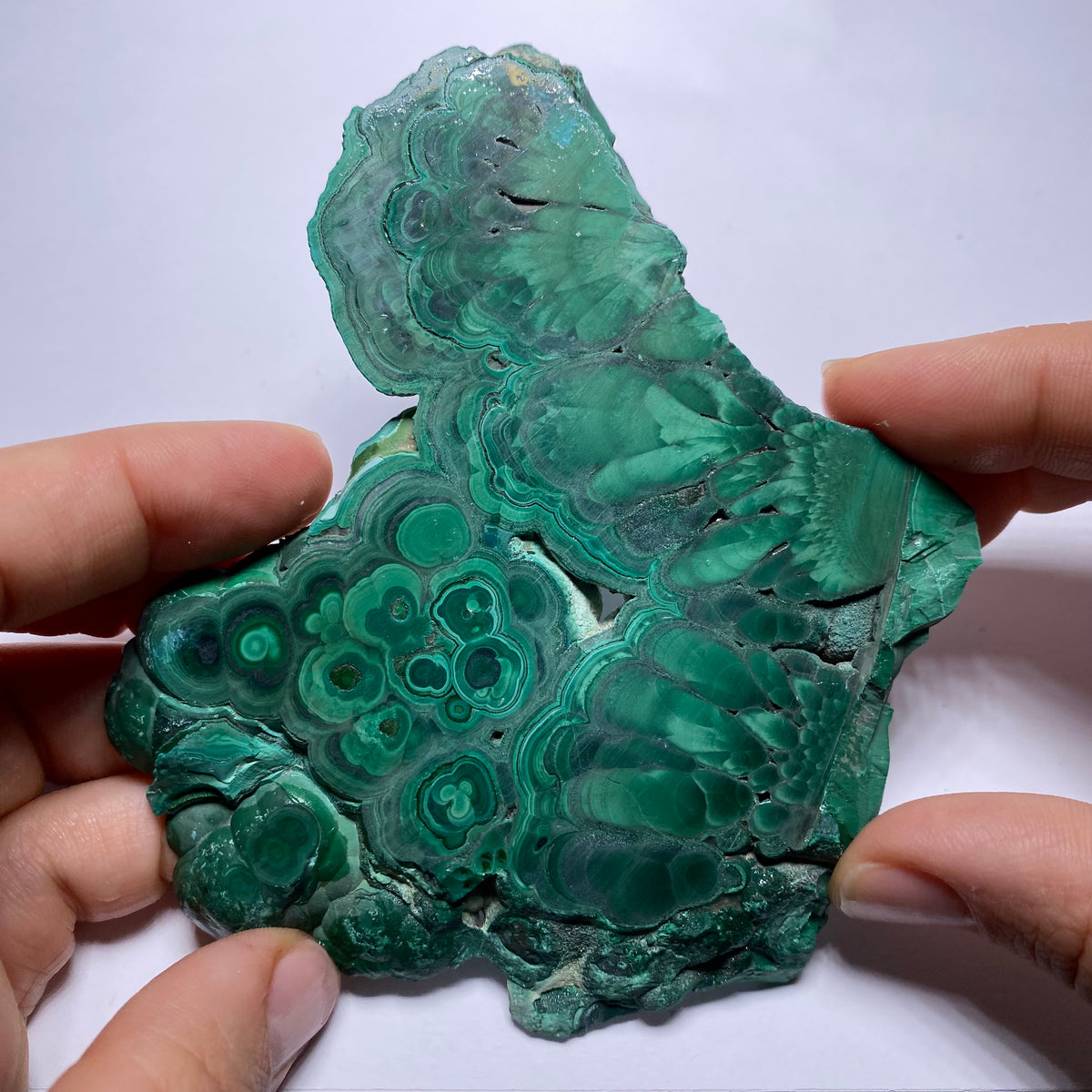 Malachite Slab - Congo