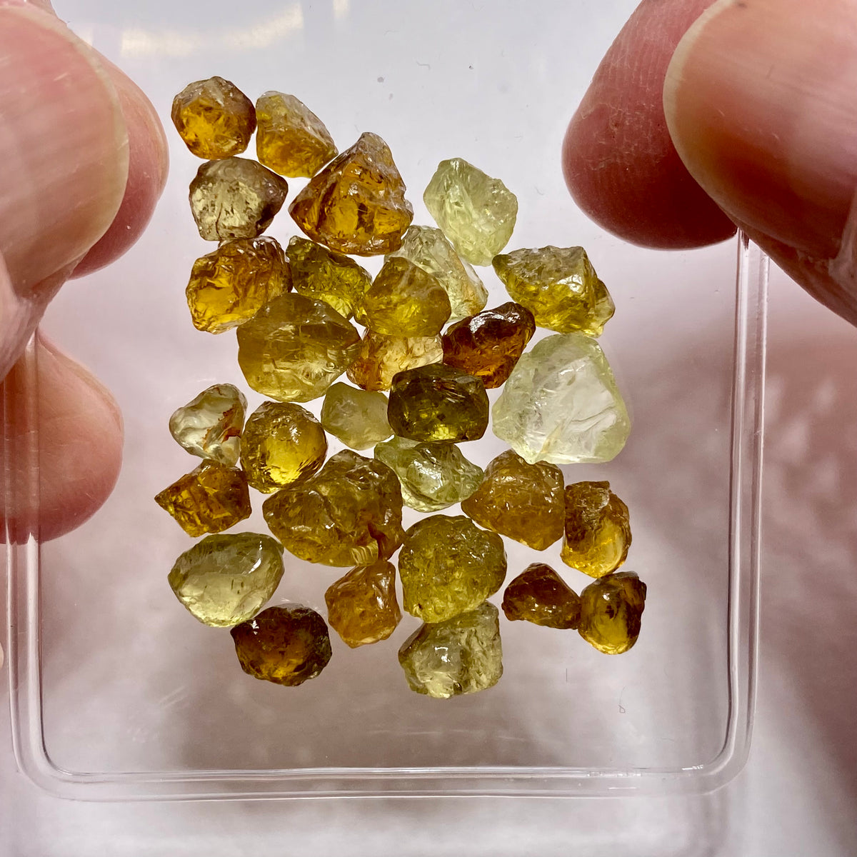 Mali Garnets