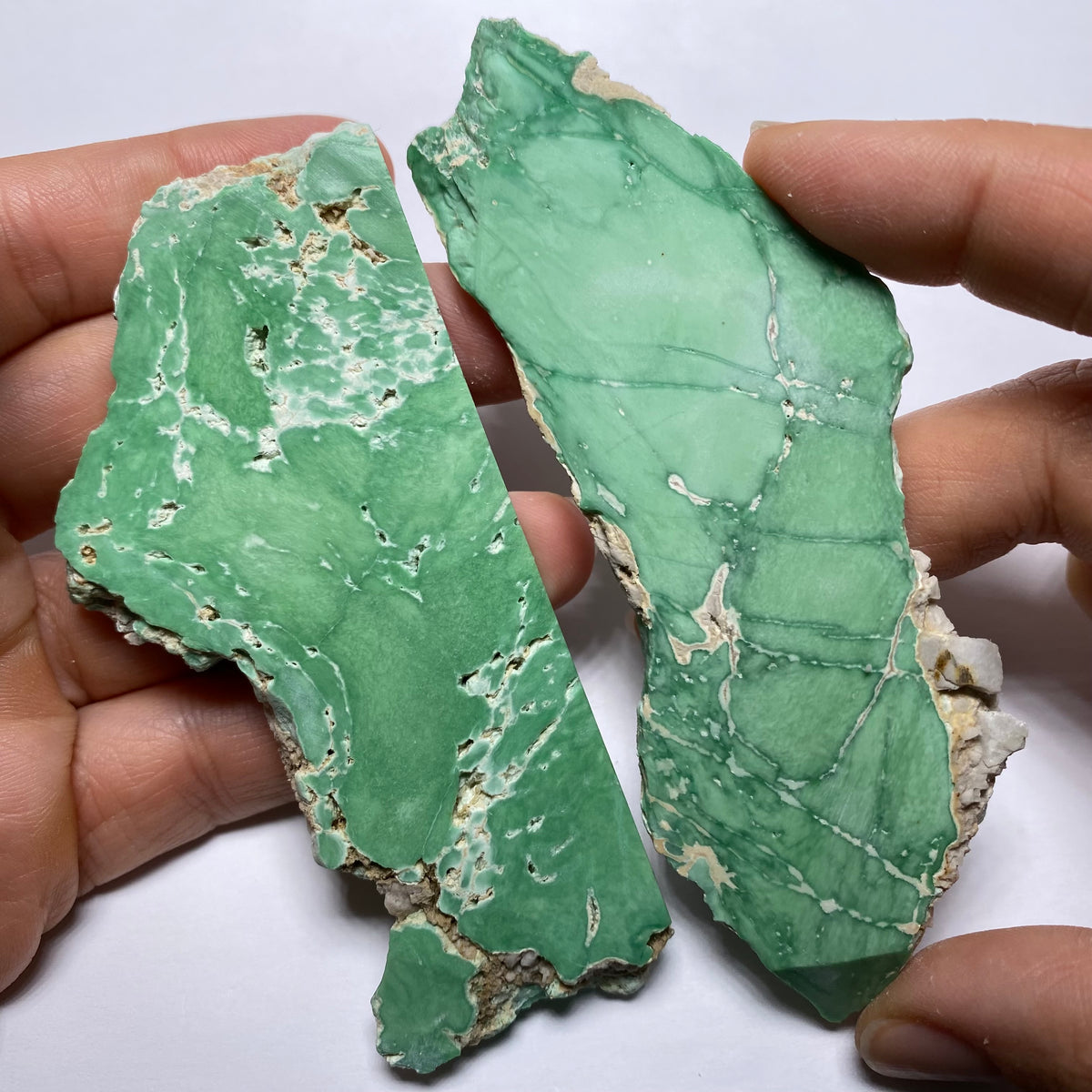 Lucin Variscite - Utah