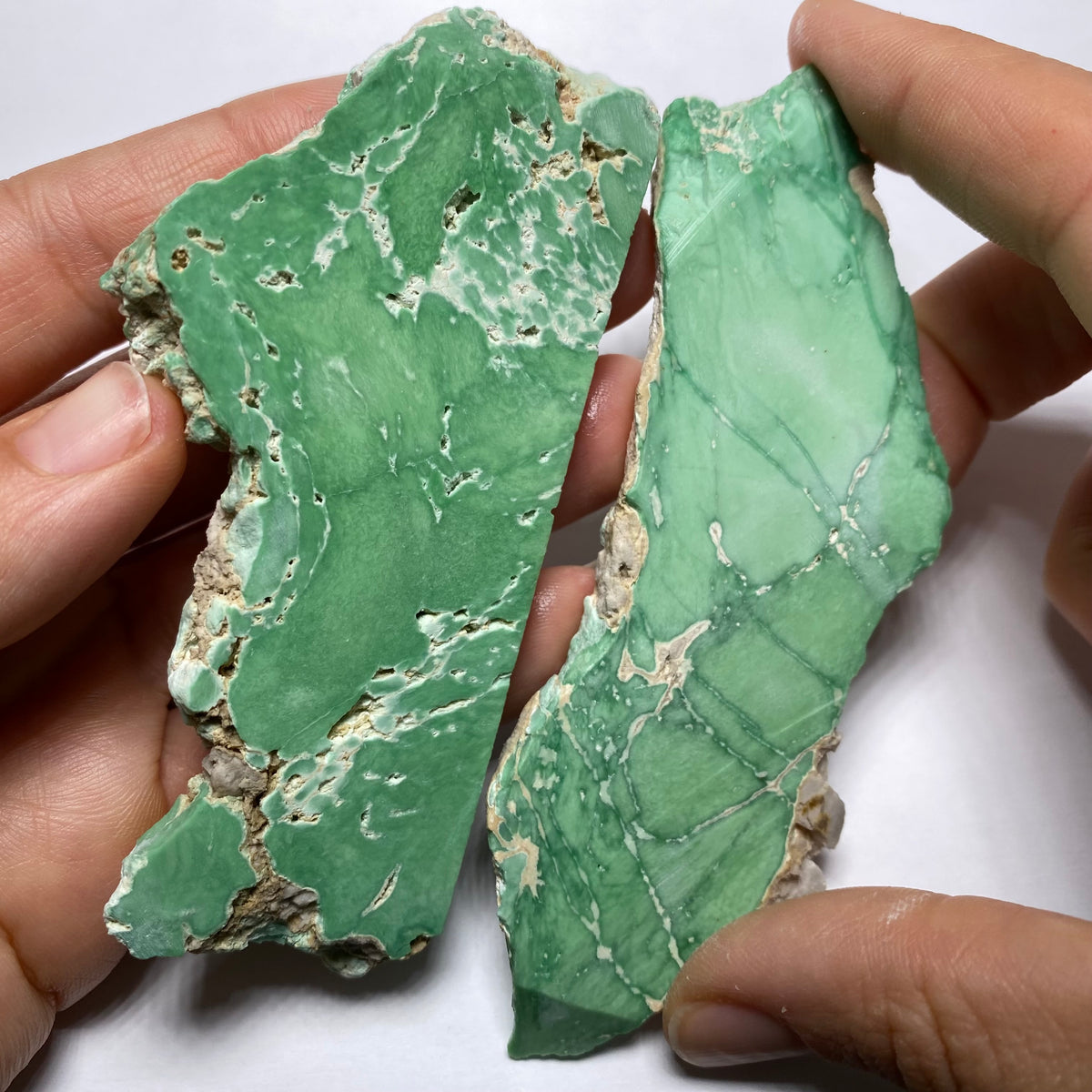 Lucin Variscite - Utah