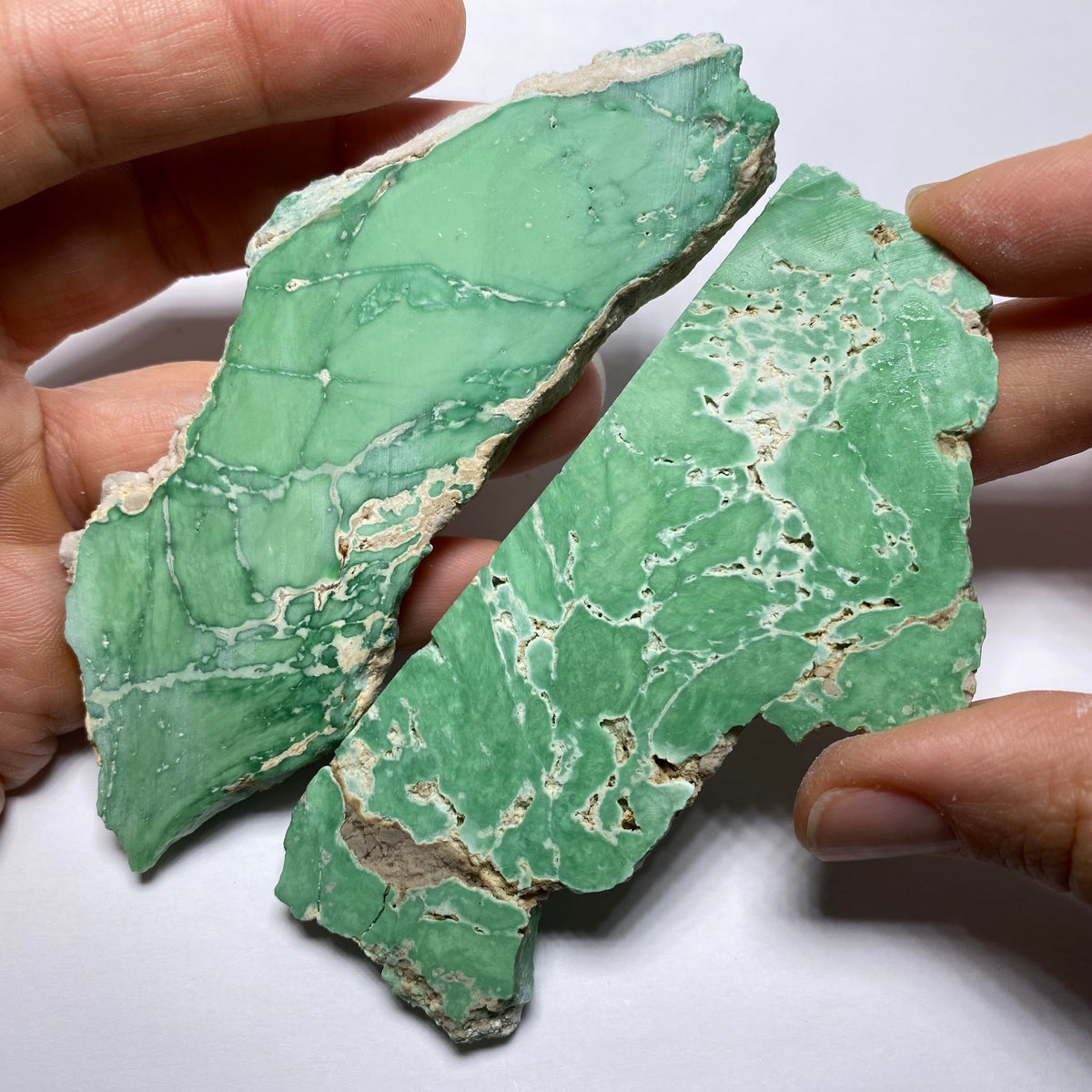 Lucin Variscite - Utah