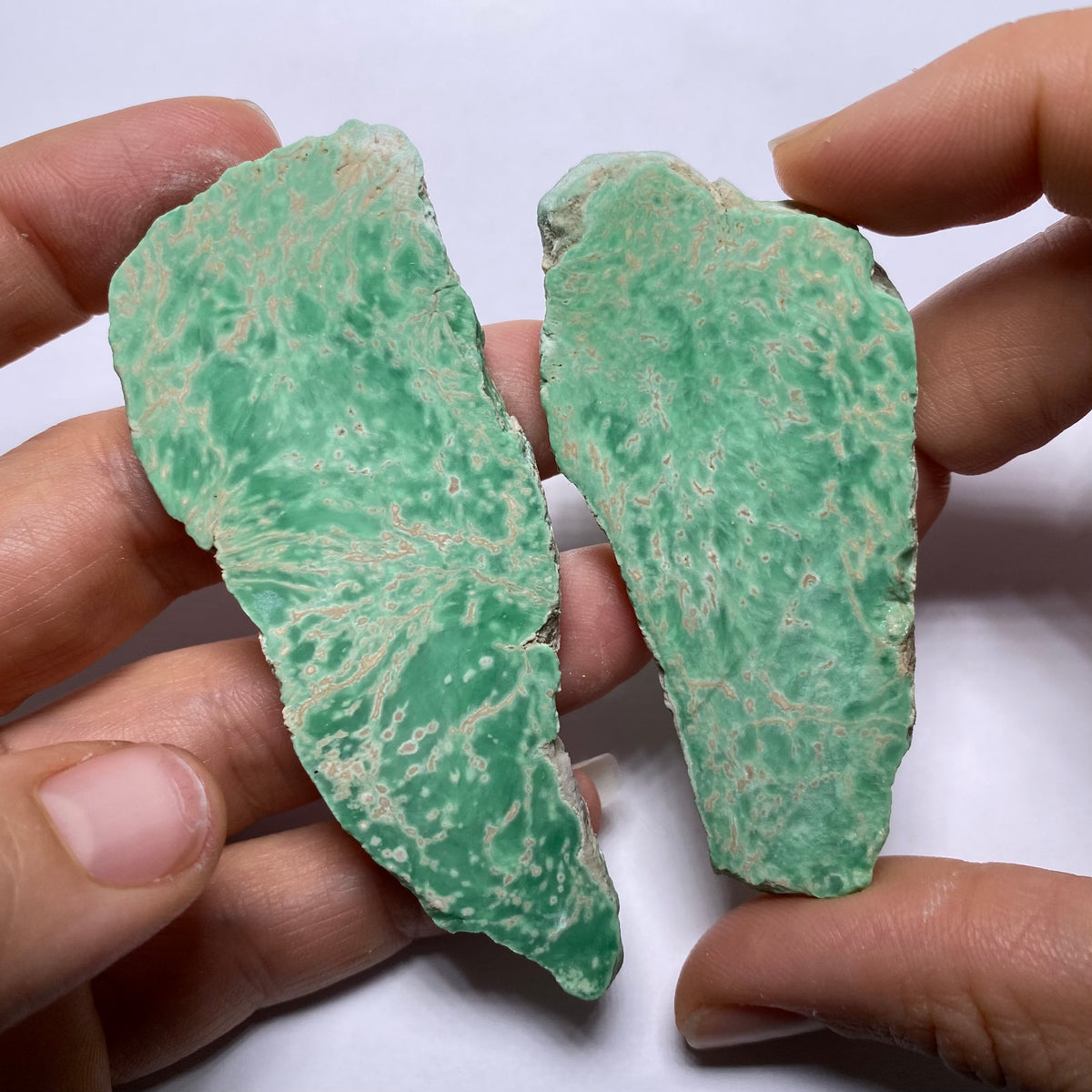 Lucin Variscite - Utah