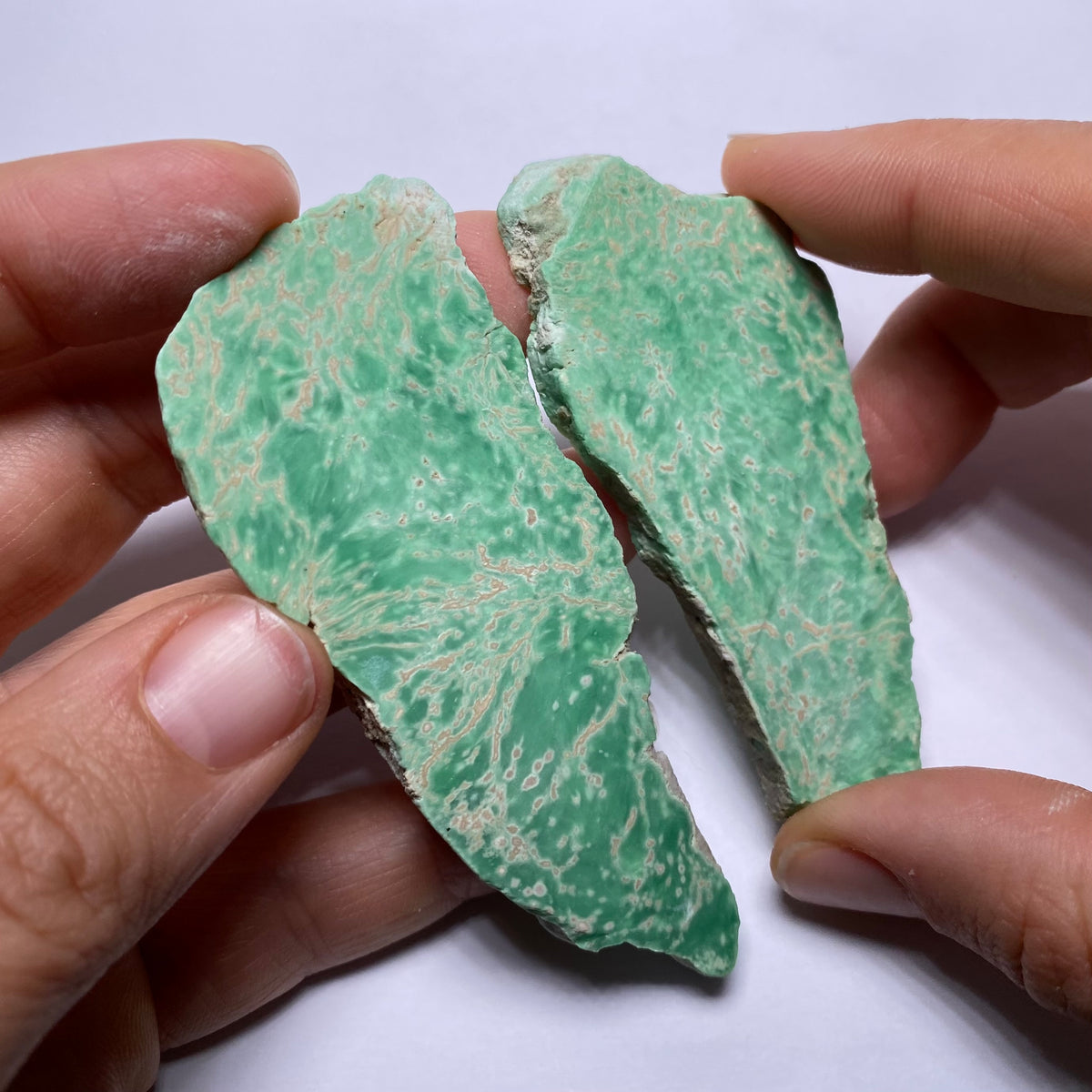 Lucin Variscite - Utah