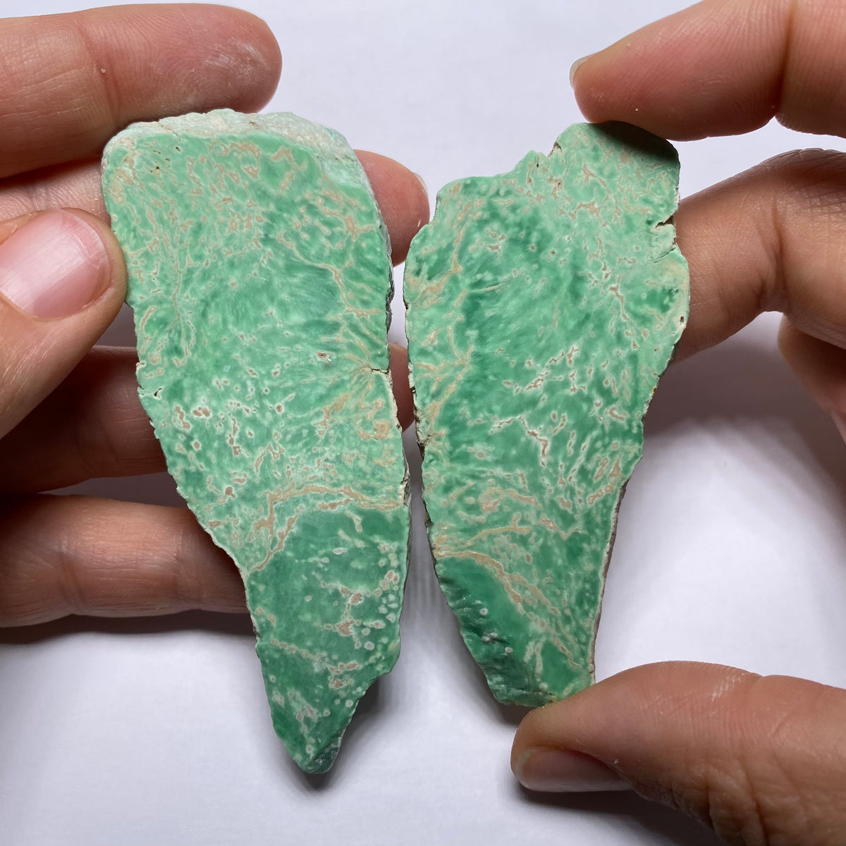 Lucin Variscite - Utah