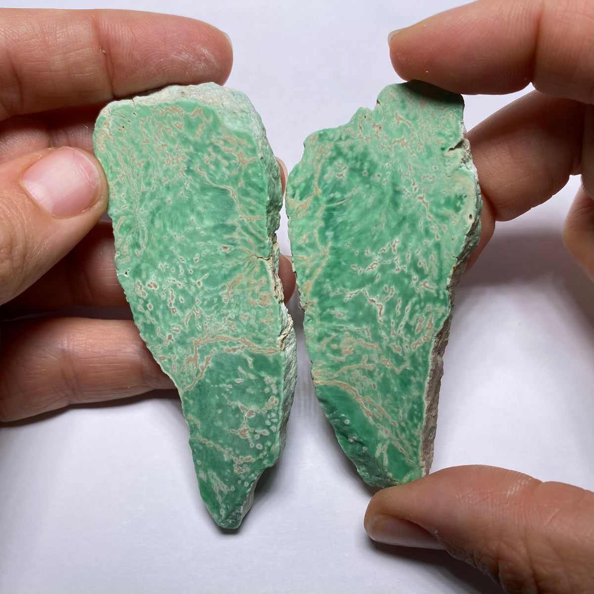 Lucin Variscite - Utah