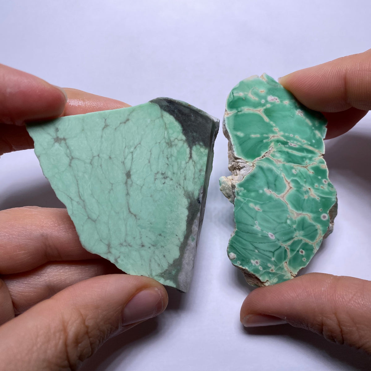 Lucin Variscite - Utah