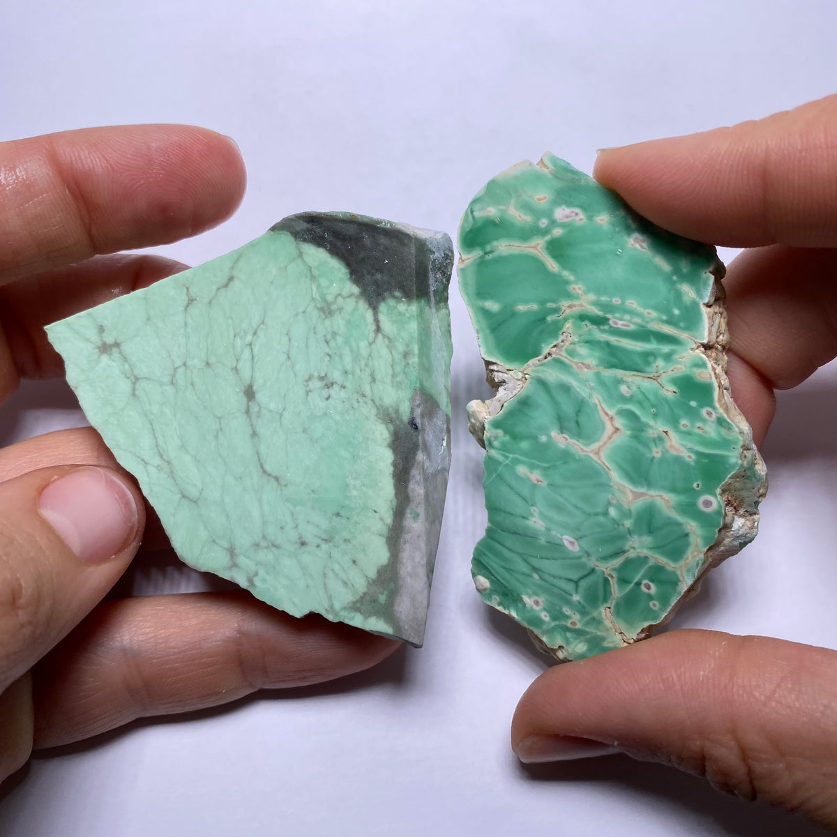 Lucin Variscite - Utah
