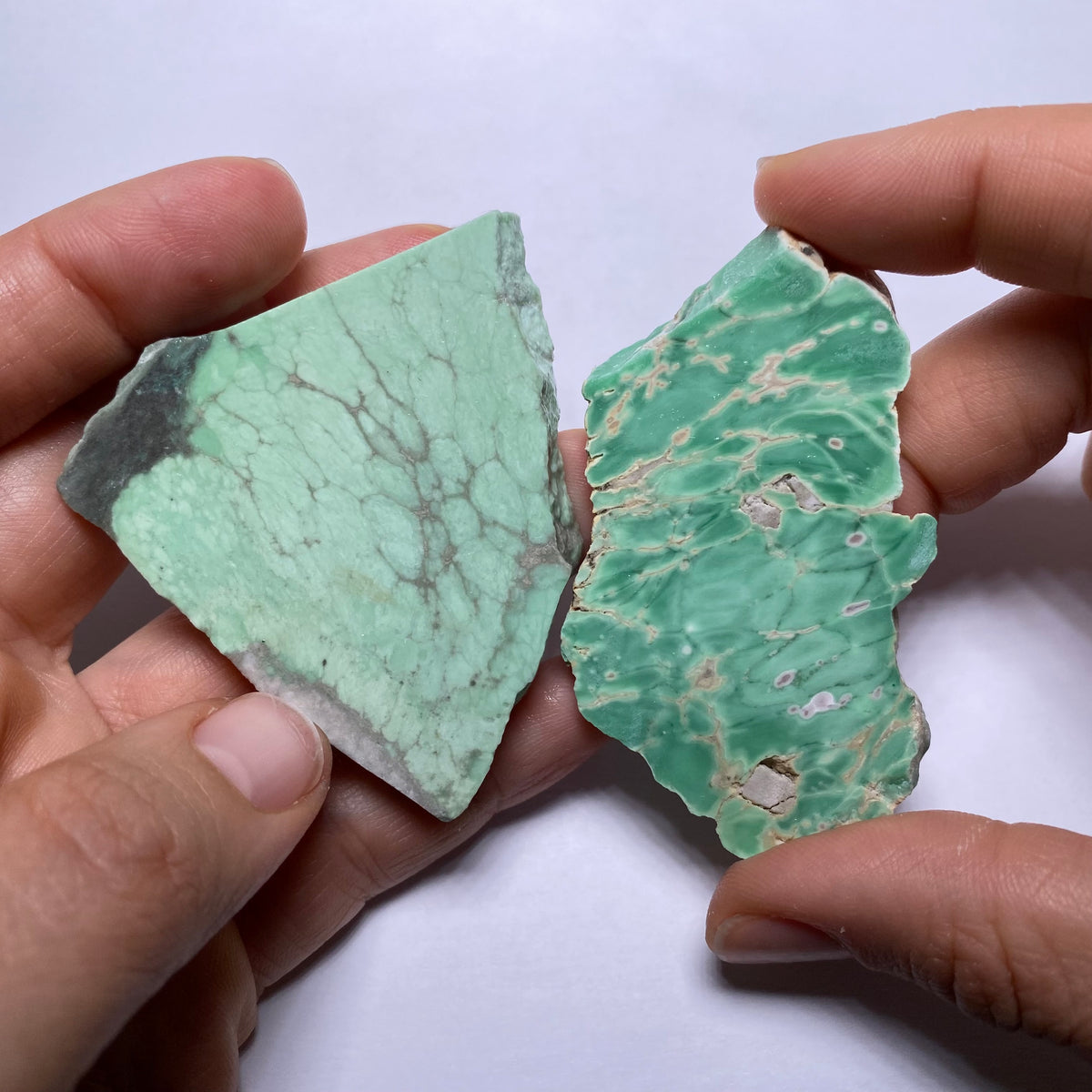 Lucin Variscite - Utah