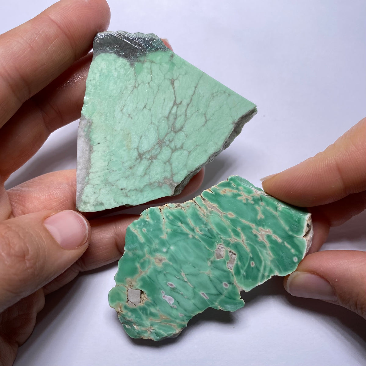 Lucin Variscite - Utah