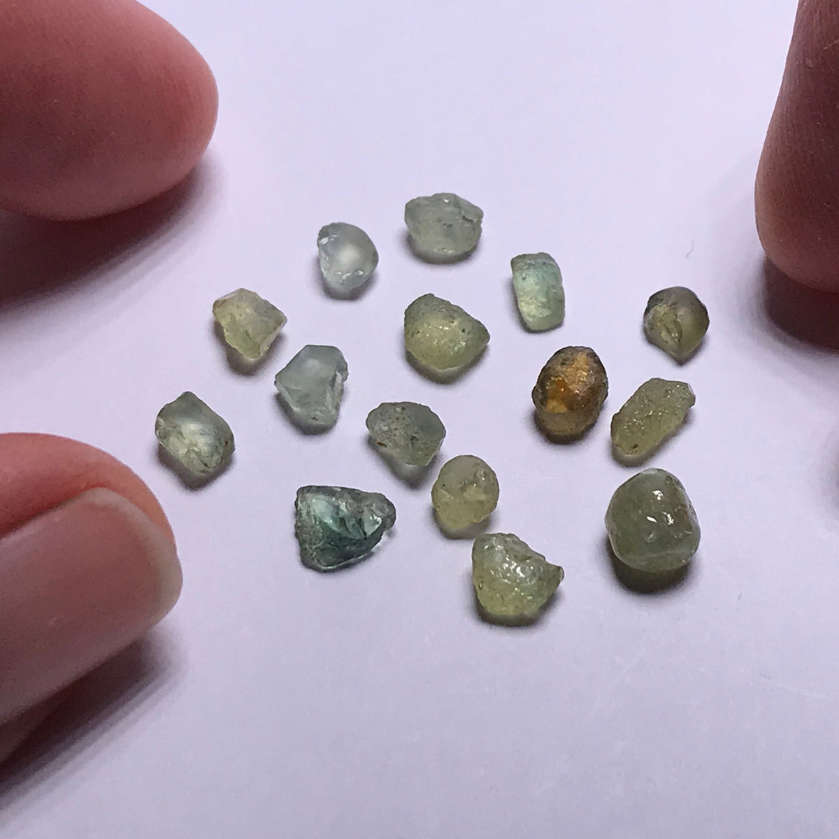 Montana Sapphires