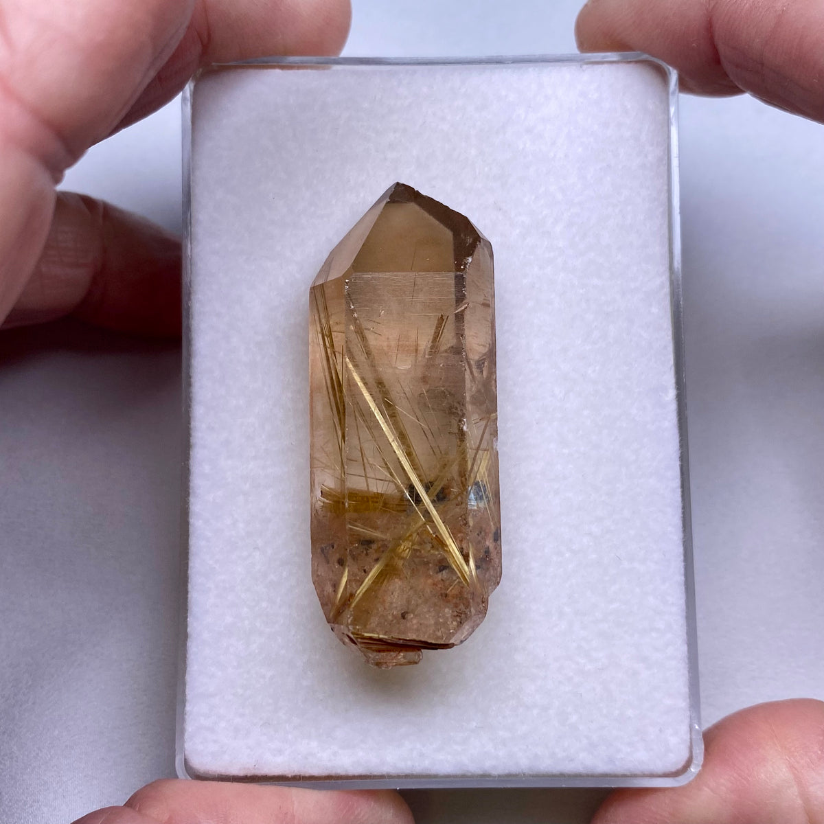 Golden Rutile in Quartz Crystal - Brazil