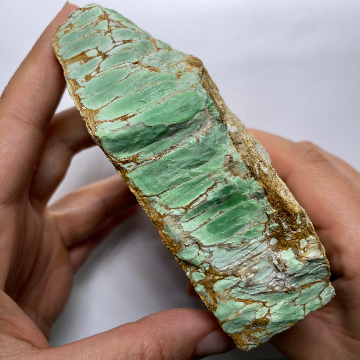 Webbed Variscite - Australia