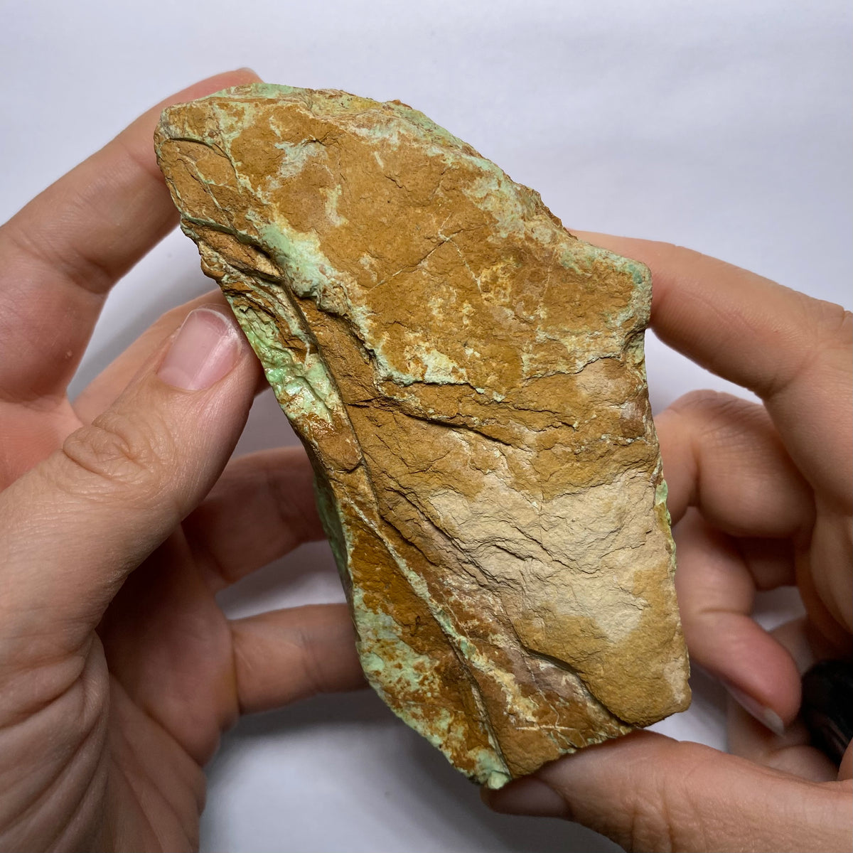 Webbed Variscite - Australia