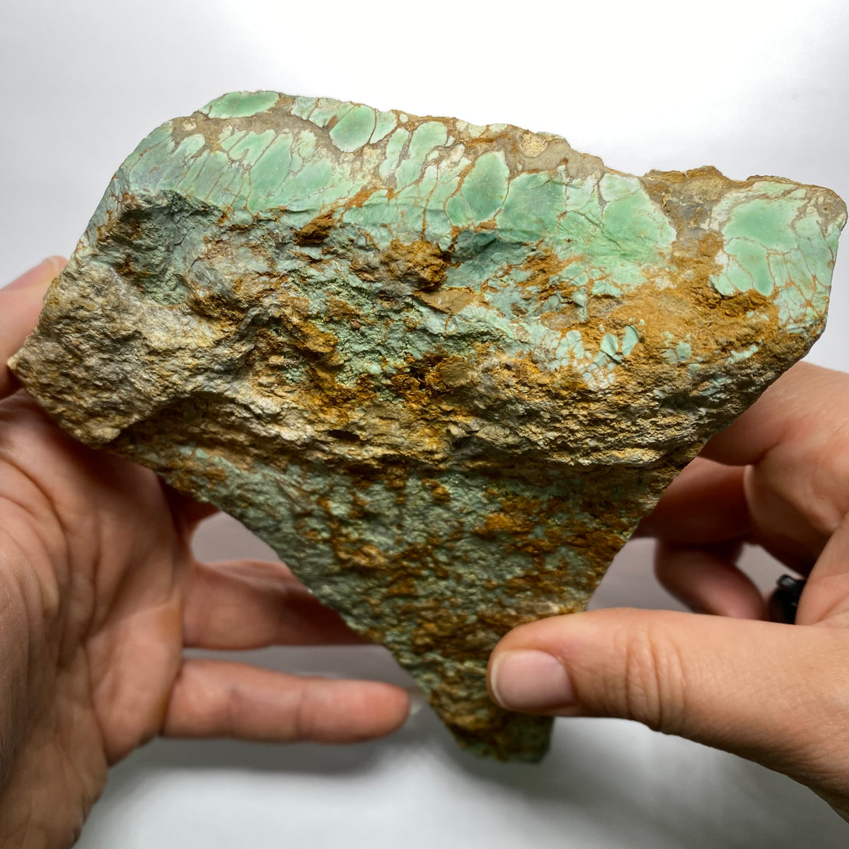 Webbed Variscite - Australia
