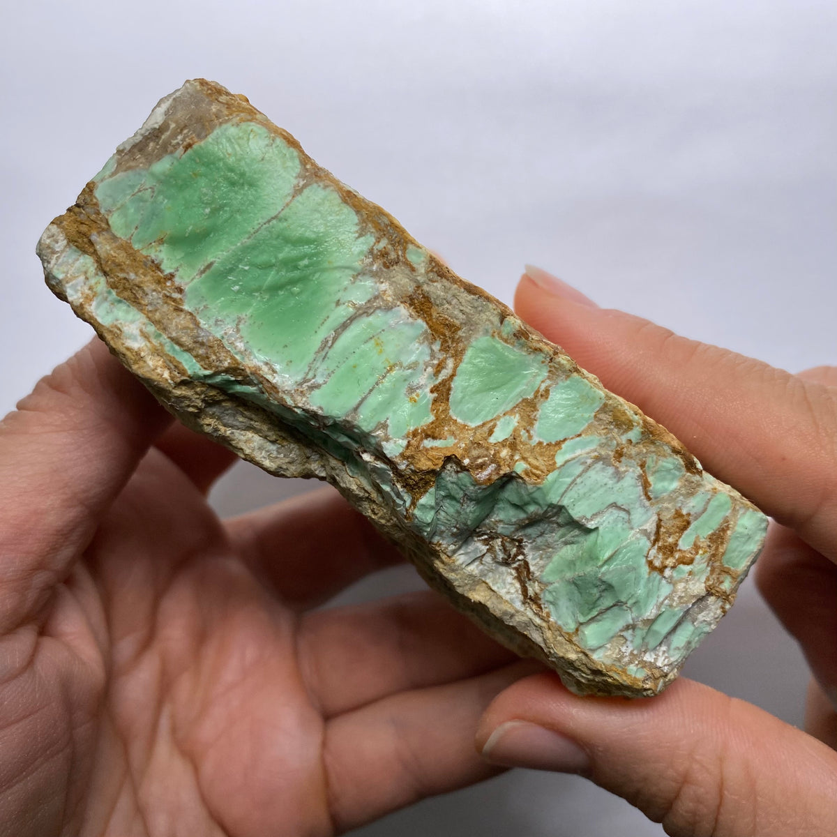 Webbed Variscite - Australia