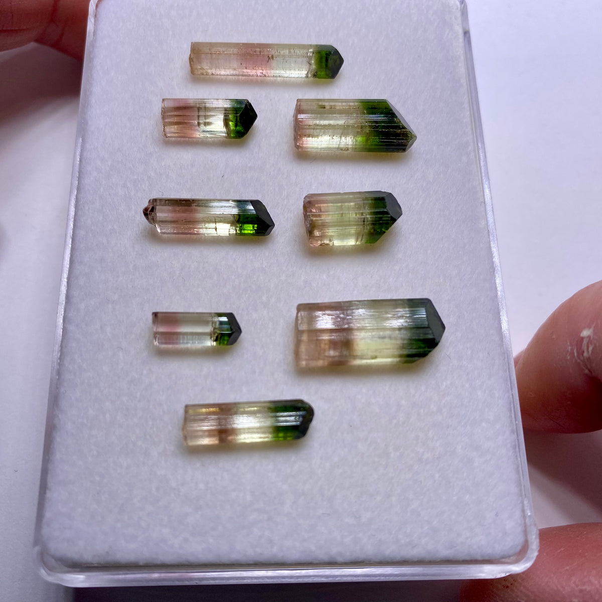 Tri-color Tourmaline Crystals - Rubaya, DRC