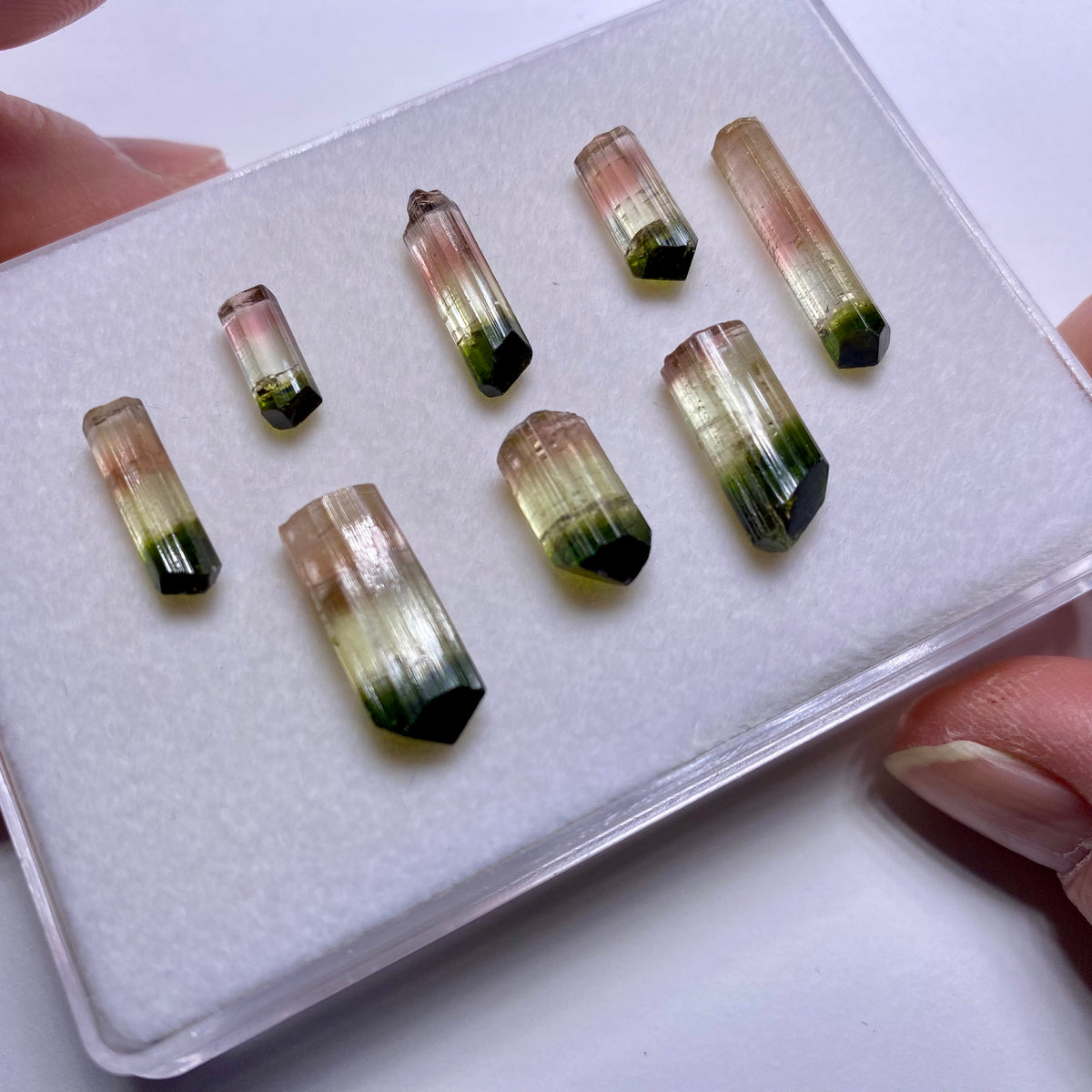 Tri-color Tourmaline Crystals - Rubaya, DRC